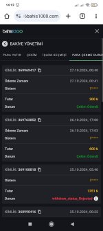 Screenshot_2024-10-27-14-13-09-175_com.android.chrome.jpg