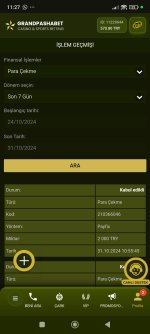Screenshot_2024-10-31-11-27-35-328_com.android.chrome.jpg