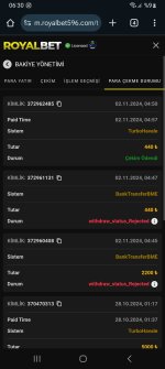 Screenshot_20241102_063009_Chrome.jpg