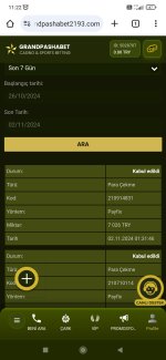 Screenshot_2024-11-02-11-22-23-526_com.android.chrome.jpg