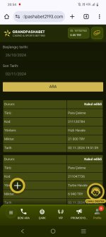 Screenshot_20241102_205408.jpg