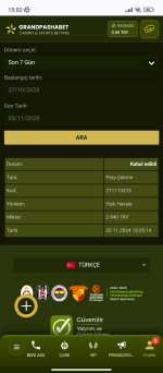 Screenshot_2024-11-03-15-02-12-031_com.android.chrome.jpg