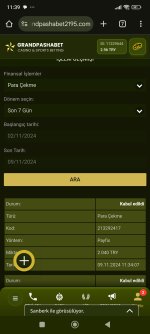 Screenshot_2024-11-09-11-39-57-705_com.android.chrome.jpg