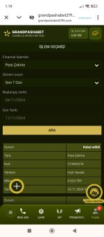 Screenshot_2024-11-11-01-19-21-954_com.android.chrome.jpg