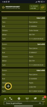 Screenshot_2024-11-11-01-40-46-984_com.android.chrome.jpg