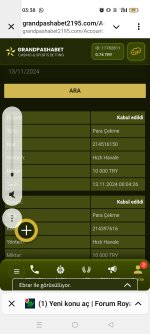 Screenshot_2024-11-13-03-38-44-85_948cd9899890cbd5c2798760b2b95377.jpg