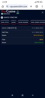 Screenshot_2024-11-13-06-56-38-705_com.android.chrome.jpg