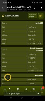 Screenshot_2024-11-13-15-10-37-02_948cd9899890cbd5c2798760b2b95377.jpg