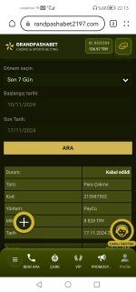 Screenshot_20241117_221345_com.huawei.browser.jpg