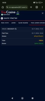 Screenshot_2024-11-22-18-55-10-500_com.android.chrome.jpg