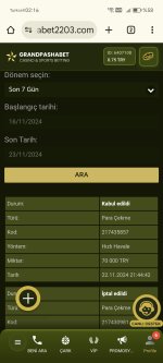 Screenshot_20241123_021631_com_android_chrome_ChromeTabbedActivity.jpg