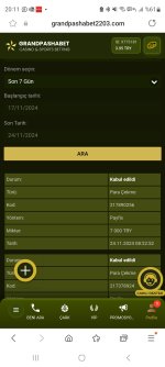 Screenshot_20241124_201150_Samsung Internet.jpg