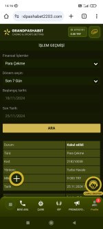 Screenshot_2024-11-25-14-16-17-731_com.android.chrome.jpg