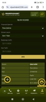 Screenshot_2024-11-29-18-30-23-934_com.android.chrome.jpg