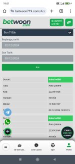 Screenshot_2024-12-09-19-51-13-188_com.android.chrome.jpg