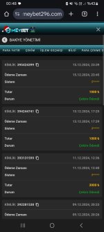 Screenshot_20241216_004838_Chrome.jpg