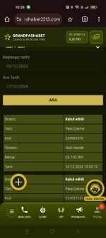 Screenshot_2024-12-17-10-28-47-74_40deb401b9ffe8e1df2f1cc5ba480b12.jpg