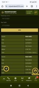 Screenshot_2024-12-17-19-07-36-050_com.android.chrome.jpg