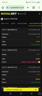 Screenshot_20241218-035034.jpg