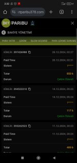 Screenshot_2024-12-20-02-32-24-143_com.android.chrome.jpg