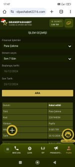 Screenshot_2024-12-23-17-47-46-026_com.android.chrome.jpg