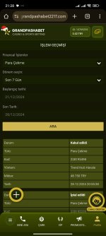 Screenshot_2024-12-28-21-28-03-406_com.android.chrome.jpg