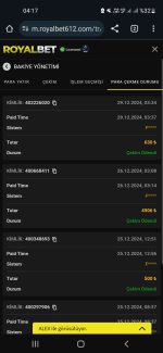 Screenshot_20241229-041710_Chrome.jpg