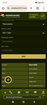 Screenshot_2024-12-29-11-17-35-825_com.android.chrome.jpg