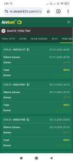 Screenshot_2025-01-01-02-52-33-955_com.android.chrome.jpg