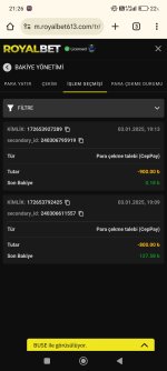 Screenshot_2025-01-03-21-26-56-370_com.android.chrome.jpg