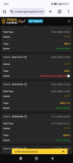 Screenshot_2025-01-04-04-41-19-664_com.android.chrome.jpg