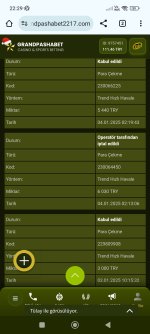 Screenshot_2025-01-04-22-29-00-829_com.android.chrome.jpg