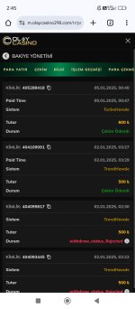 Screenshot_2025-01-05-02-45-28-702_com.android.chrome.jpg