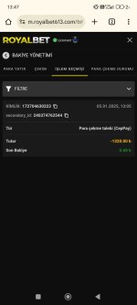 Screenshot_2025-01-05-13-47-42-691_com.android.chrome.jpg