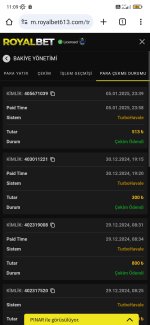 Screenshot_2025-01-06-11-09-26-527_com.android.chrome.jpg