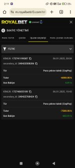 Screenshot_2025-01-07-02-11-01-277_com.android.chrome.jpg