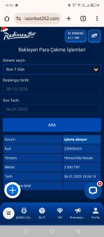Screenshot_20250106-185439.jpg