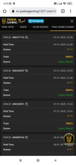 Screenshot_2025-01-08-04-33-47-735_com.android.chrome.jpg