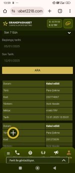 Screenshot_2025-01-12-13-59-39-208_com.android.chrome.jpg