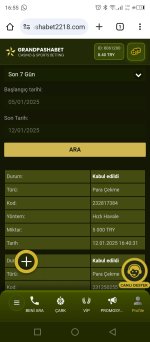 Screenshot_20250112-165530.jpg