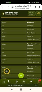 Screenshot_2025-01-12-23-03-04-107_com.android.chrome.jpg