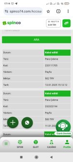 Screenshot_2025-01-13-17-14-56-150_com.android.chrome.jpg