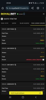 Screenshot_20250114-050404_Chrome.jpg