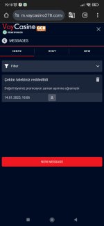 Screenshot_2025-01-14-19-10-46-075_com.android.chrome.jpg