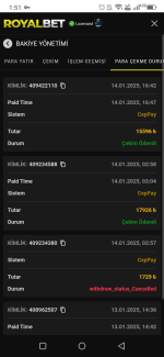 Screenshot_20250115-135101.png