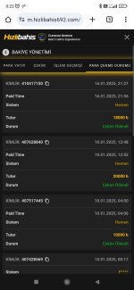 Screenshot_2025-01-17-00-22-45-439_com.android.chrome.jpg