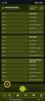 Screenshot_2025-01-17-00-57-10-474_com.android.chrome.jpg