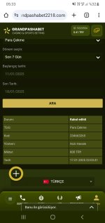 Screenshot_20250118-053323_Chrome.jpg