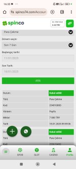 Screenshot_2025-01-18-16-35-06-734_com.android.chrome.jpg