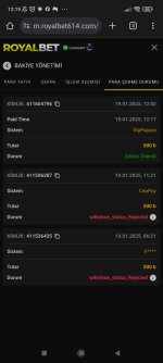Screenshot_2025-01-19-12-19-50-081_com.android.chrome.jpg